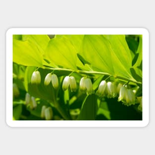 Spring Garden Flower Sticker